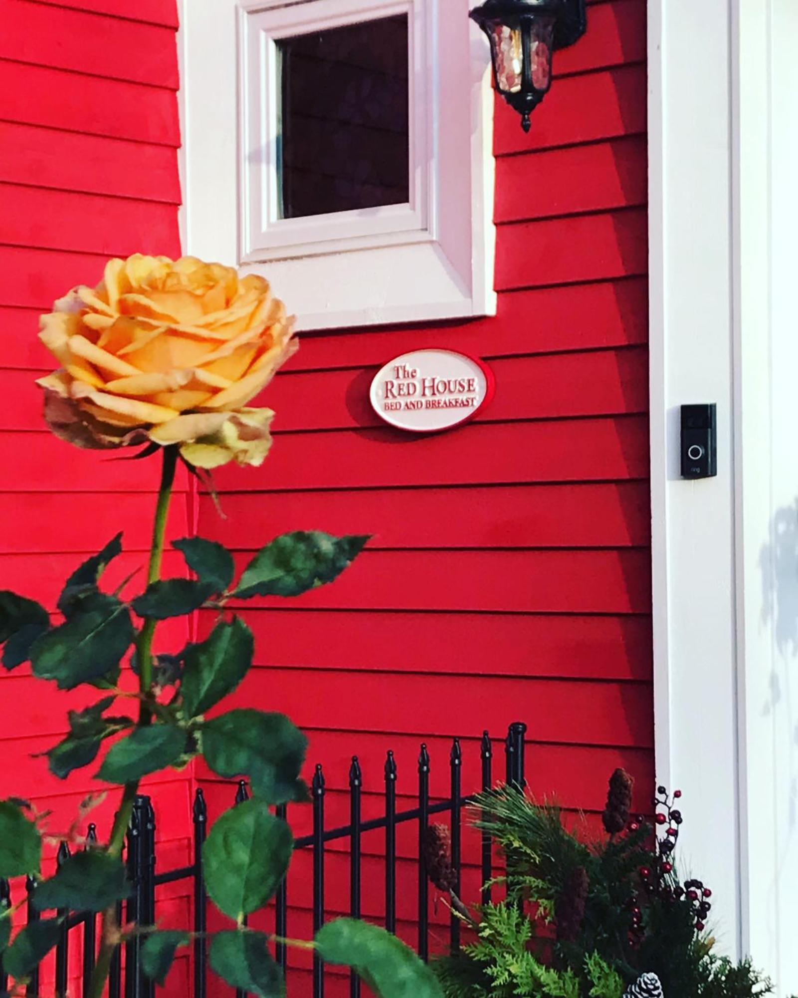 مبيت وإفطار The Red House فريدريكتون المظهر الخارجي الصورة
